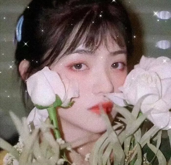 姐妹的花园